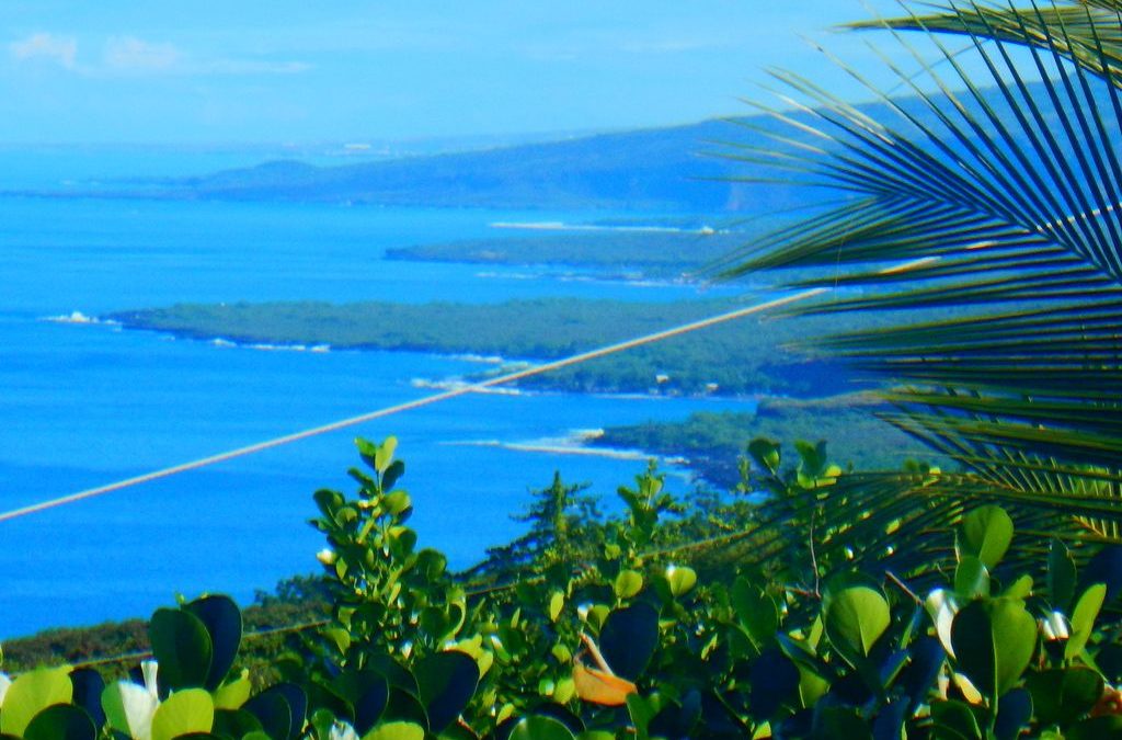 Welcome to Kona Leilani Local Attractions Blog